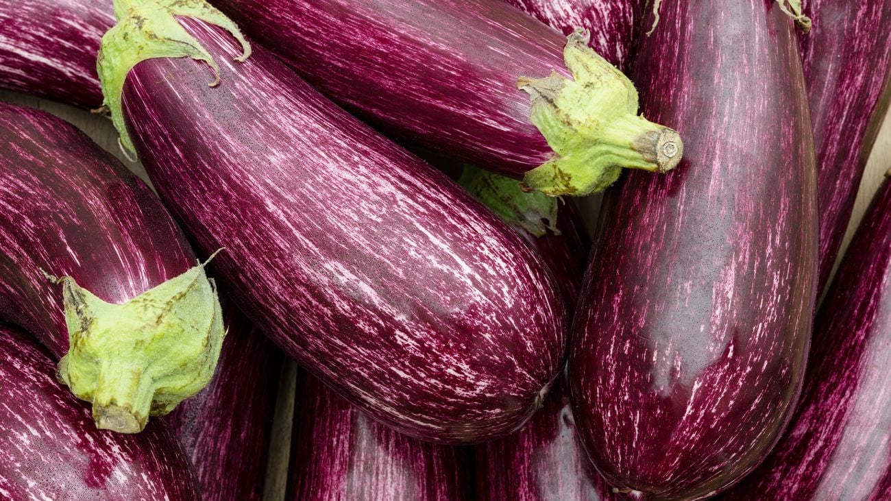 Close up of tear-drop shaped striped eggplants.