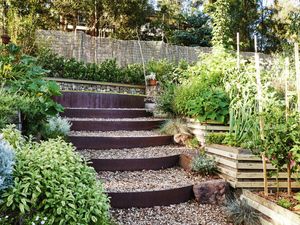 Front garden all made up with privacy screen