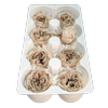 Blooms of Joy 4.5cm Beige Garden Roses 8 Pack
