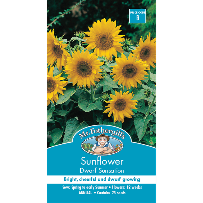 Mr Fothergill's Sunflower Dwarf Sunsation Flower Seeds
