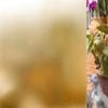 NewDecor Window Film 460mm x 3000mm Bronze Tint