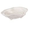 Amalfi Baylor Shell Plate Reactive White