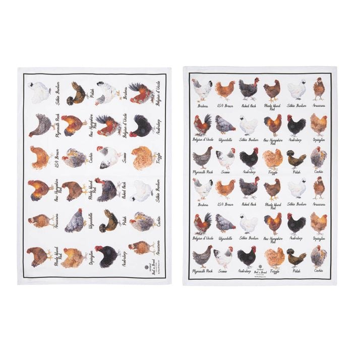 Ashdene Best Breed Chicken Set Of 2 Kitchen Towels