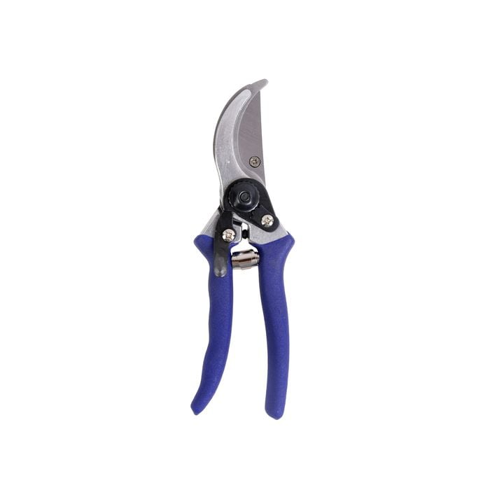 Saxon Bypass Pruner