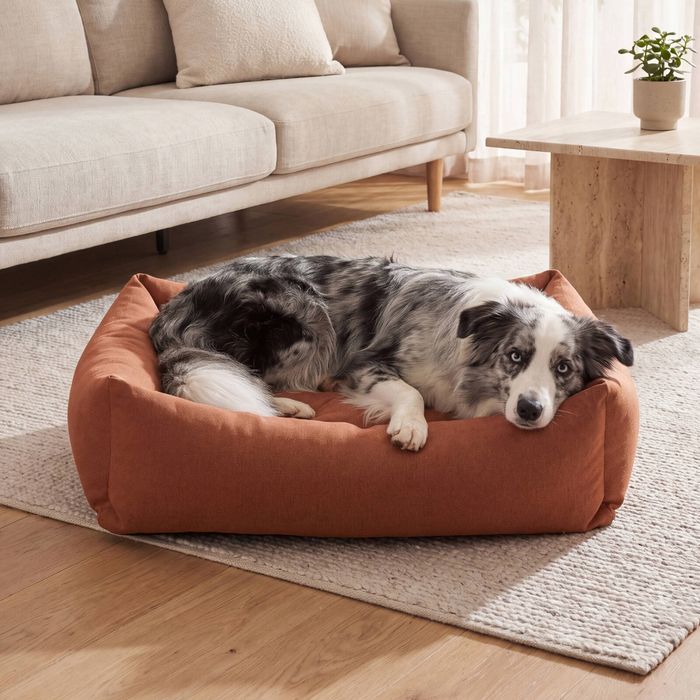Charlie's Brooksy Woven Dog Bed Rust Medium