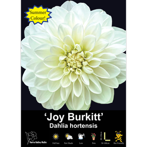 Yarra Valley Bulbs Joy Burkitt - 1 Pack