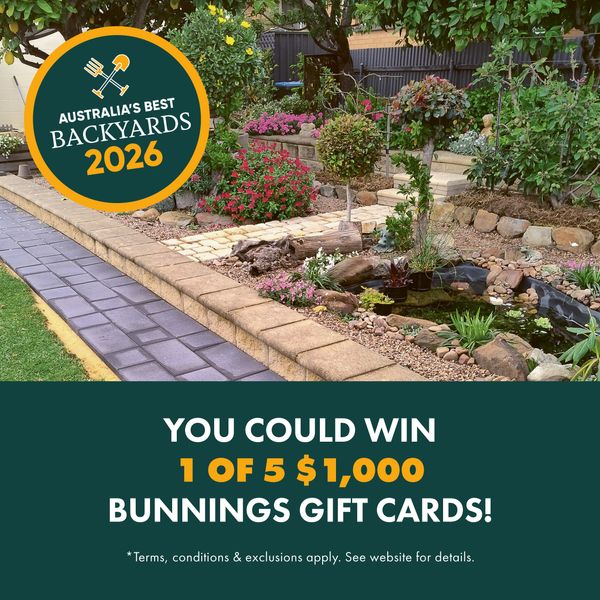 Best Backyards - SBS - EDM ABB_3900x3900