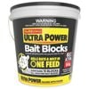 The Big Cheese 15 x 20g Ultra Power Fast Action Bait Blocks