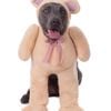 Rubies Walking Teddy Bear Big Dogs Dress Up Halloween Party Costume Size XXXL