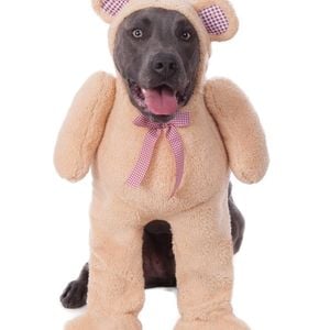 Rubies Walking Teddy Bear Big Dogs Dress Up Halloween Party Costume Size XXXL