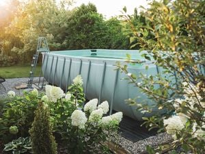 An above ground pool in a backyard with plants around it