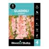 Bloomin' Bulbs Gladioli Karma - 4 Pack