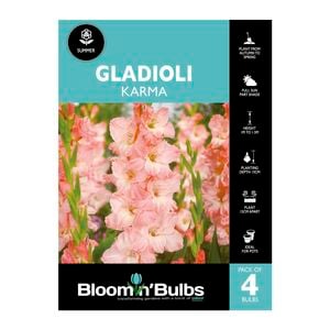 Bloomin' Bulbs Gladioli Karma - 4 Pack