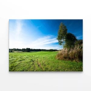 Grassland & Trees at Sunrise  Print 100% Australian Made 75 x 50cm  (Stretched)