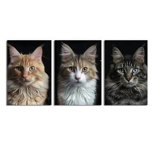 3pcs Of Kittens By A Black Background Print 100% Australian Made 3 x 40x60cm  (Stretched)