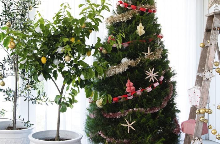 Christmas tree decorations