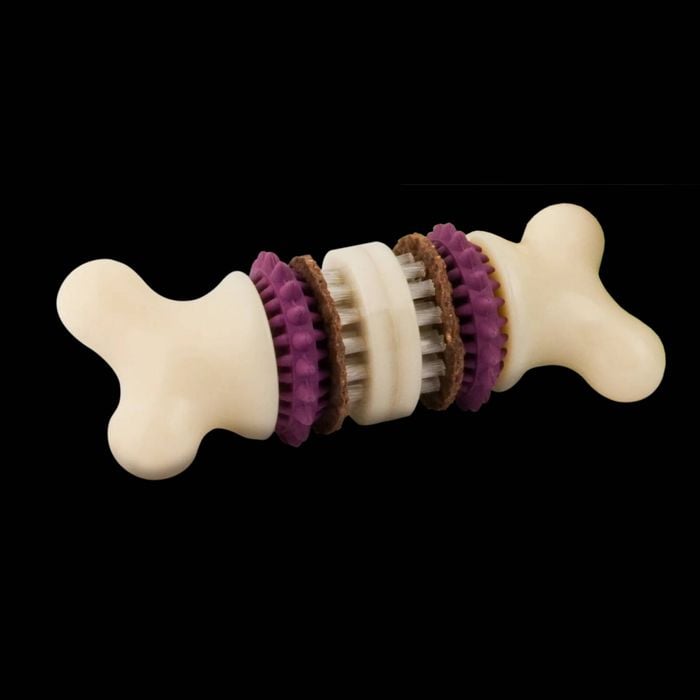 PetSafe Busy Buddy Bristle Bone Dog Toy