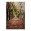 Avenue Covered by Fall   Print 100% Australian Made 100 x 150cm  (Acrylic)