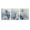 3pcs Dandelion and Butterfly Painting Print 100% Australian Made 3 x 40x60cm (Metal Print)