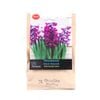 Yarra Valley Bulbs Hyacinth Woodstock - 3 Pack