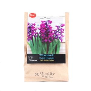 Yarra Valley Bulbs Hyacinth Woodstock - 3 Pack