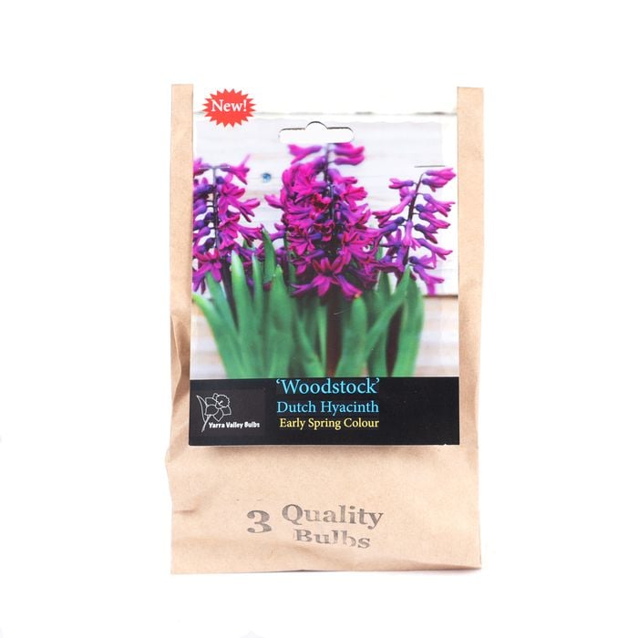 Yarra Valley Bulbs Hyacinth Woodstock - 3 Pack