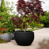 Capi 1770 x 1200mm Black Ball Vase Pot