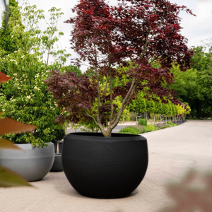 Capi 1770 x 1200mm Black Ball Vase Pot