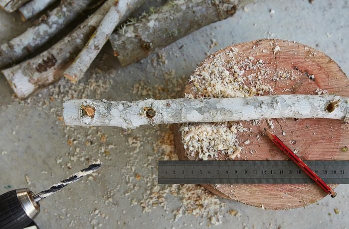 Branch on a chopping block after being cut to size