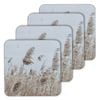 4pc Ladelle Hardboard Cork Backed Wheat Drink Coasters