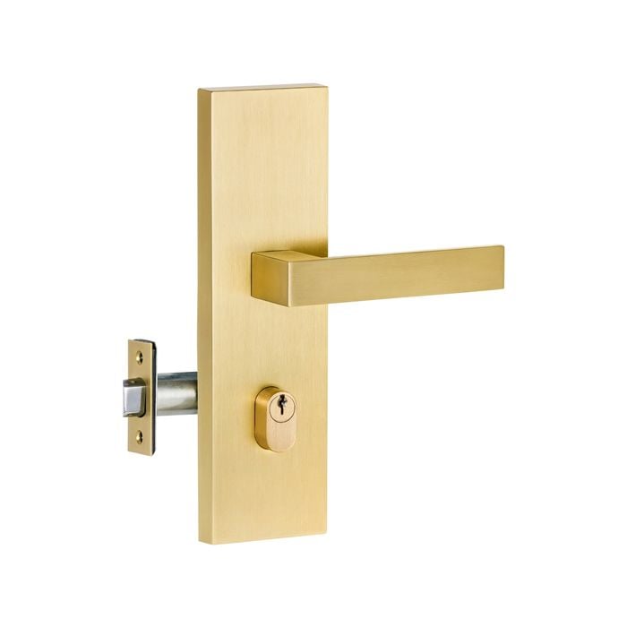 Lemaar Brushed Brass Entry Pro 3