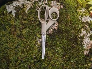 scissor on top of a shrub
