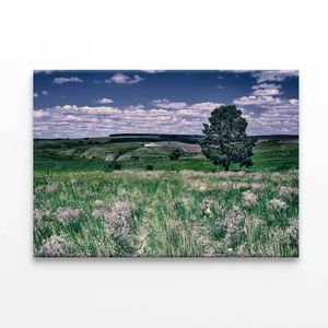 Flowers with a Tree under a Sky  Print 100% Australian Made 150 x 100cm  (Stretched)