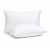 Royal Comfort Goose Down Pillows 1000GSM - Twin Pack White 50 x 75 cm