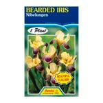 Fiesta Flower Bulbs Iris Germanica Nibelungen Bulb