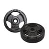 4 Pack of 2.5kg - Total 10kg Standard 26.5mm Triple Handle Hammertone Cast Iron Weight Plate
