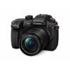 Panasonic GH5 II + LUMIX 12-60mm Kit