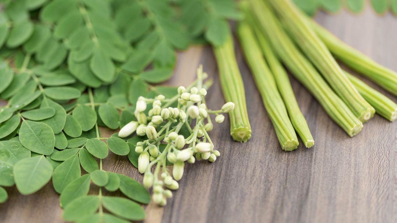 Moringa shoots and seeds in a close up shot.