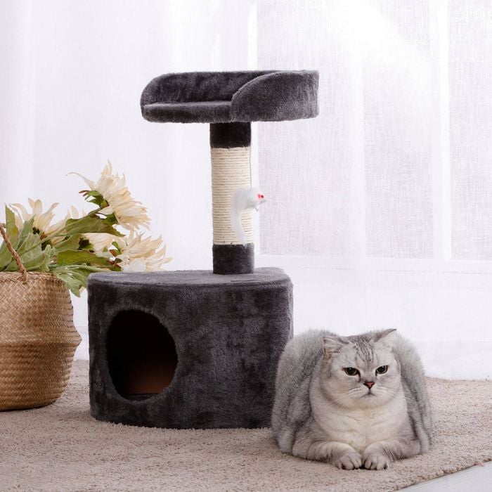 Charlie's Lite Cat Tree With Round House Charcoal