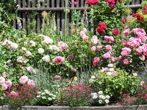 D.I.Y. - Step04 – The best garden ideas for spring 