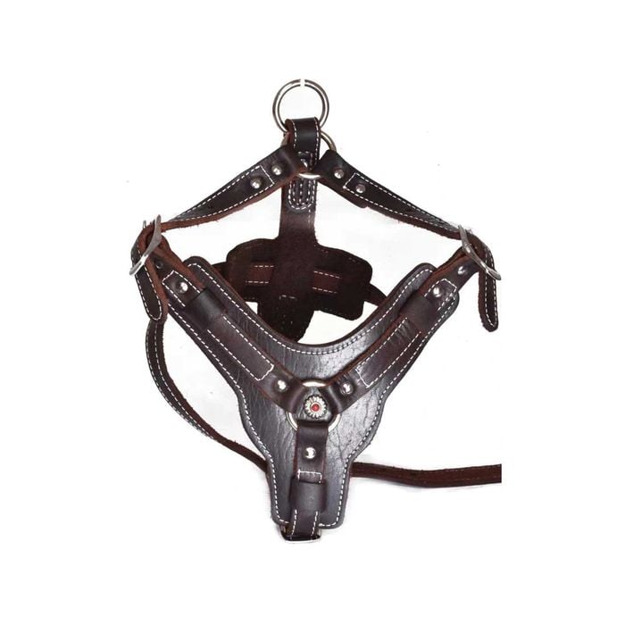 CottonMore Top Quality Genuine Leather Large Breed Dog Harness Brown - Large