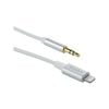 Antsig 1m Lightning to 3.5mm AUX Male Cable
