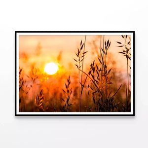 Close Up View of Sunrise Field  Print 100% Australian Made 120x90cm  (Poster)
