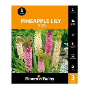 Bloomin Bulbs Pineapple Lily Mixed - 3 Pack