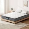 Giselle Bedding Queen Tight top High density foam Knitted fabric 23cm Mattress Pocket spring
