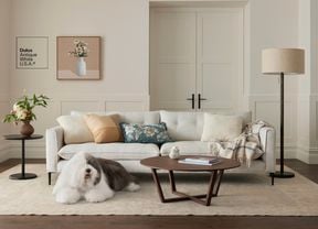 Living room painted in Dulux white paint with a light sofa, round coffee table, floor lamp, framed art, and a shaggy dog on a beige rug.