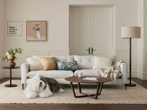 Living room painted in Dulux white paint with a light sofa, round coffee table, floor lamp, framed art, and a shaggy dog on a beige rug.