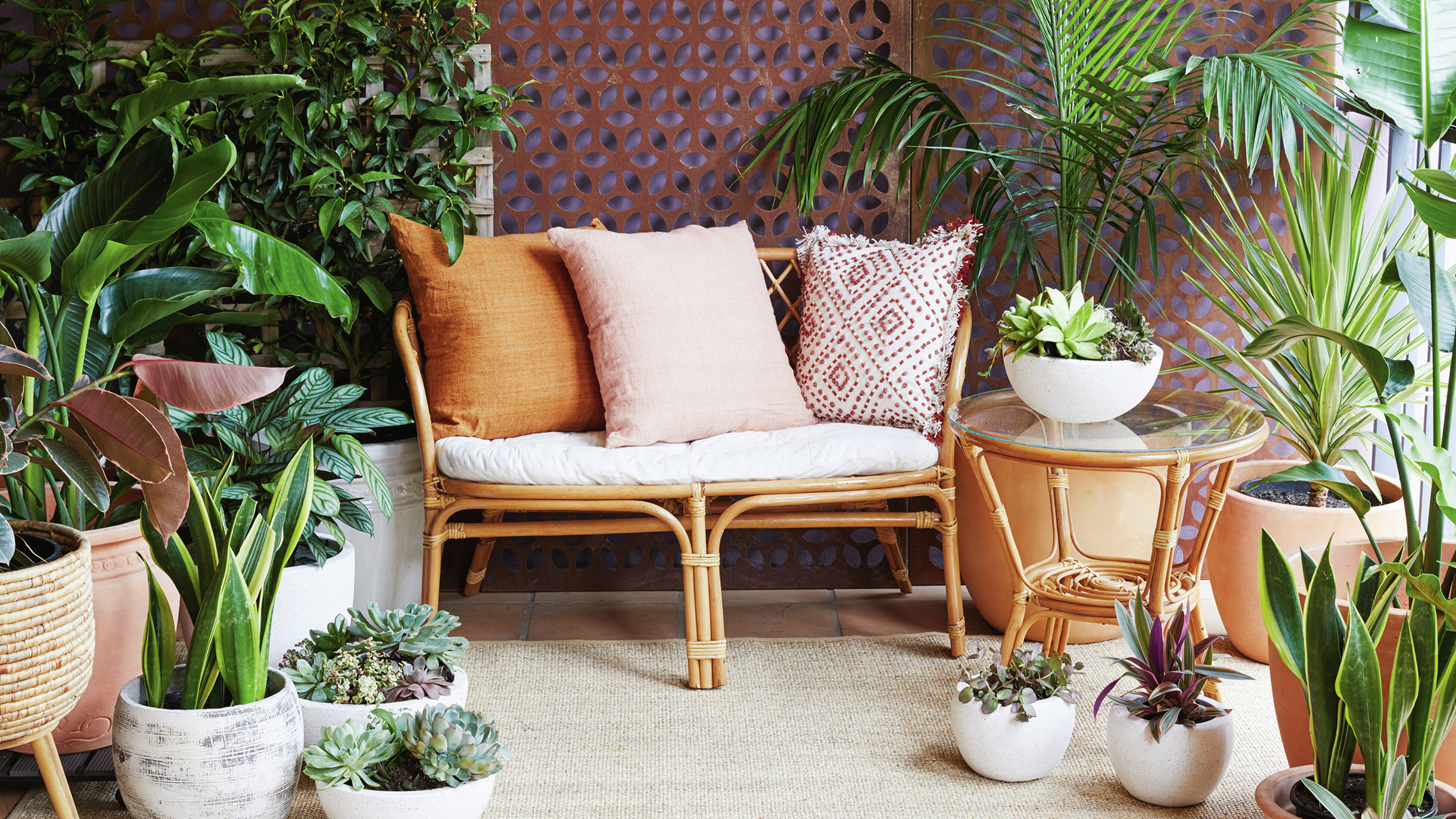 A stylised balcony with leafy greenery, pot plants, a seat and glass-topped table