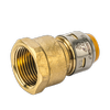 SharkBite Max 16mm x ¾″ BSP Female Threaded PEX Connector