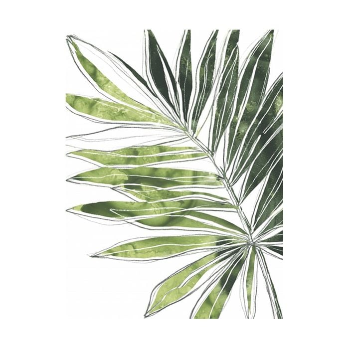 Artey | Expressive Palm IV - Stretched Canvas - Stretched Canvas - 90 x 120cm